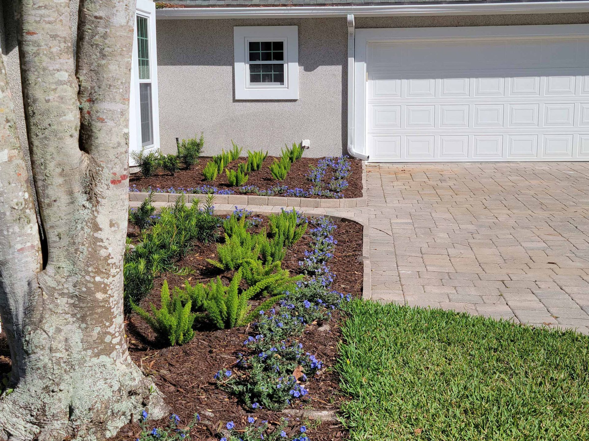 A house with a white garage door and a tree in front of it.