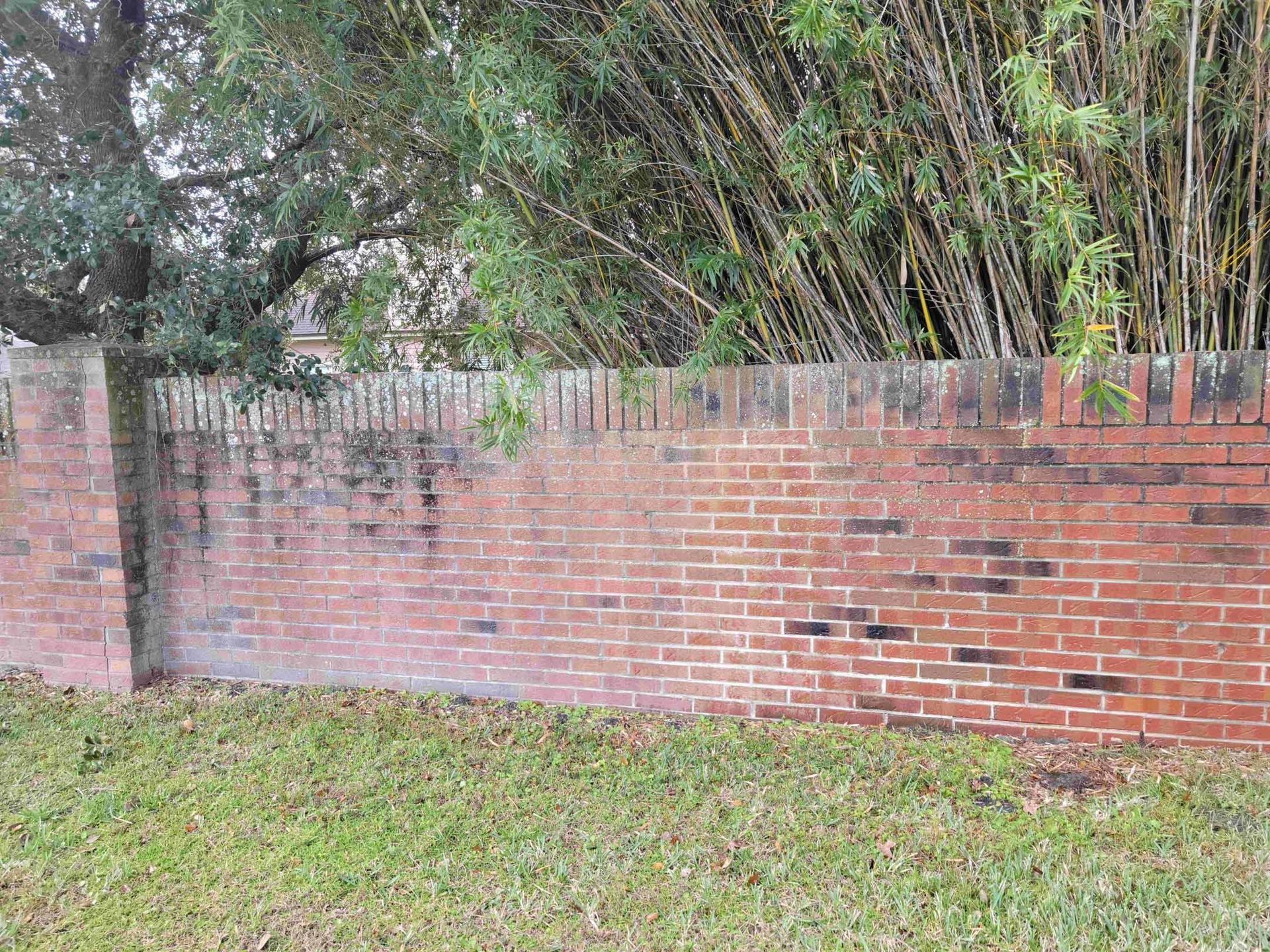A brick wall surrounded by grass and trees in a yard.