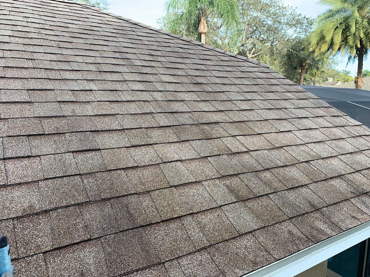 Black Streaks, algae, mold and mildew