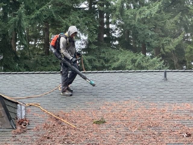 A man is blowing leaves off a roof with a blower.
