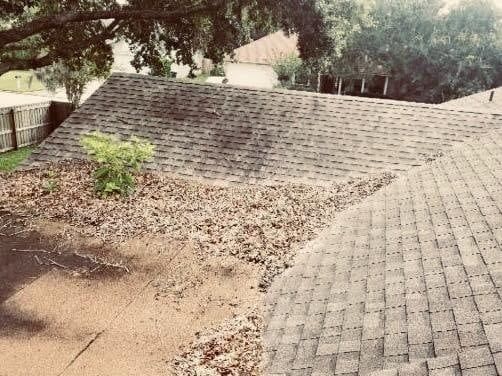A roof with a lot of leaves on it and a tree in the background.