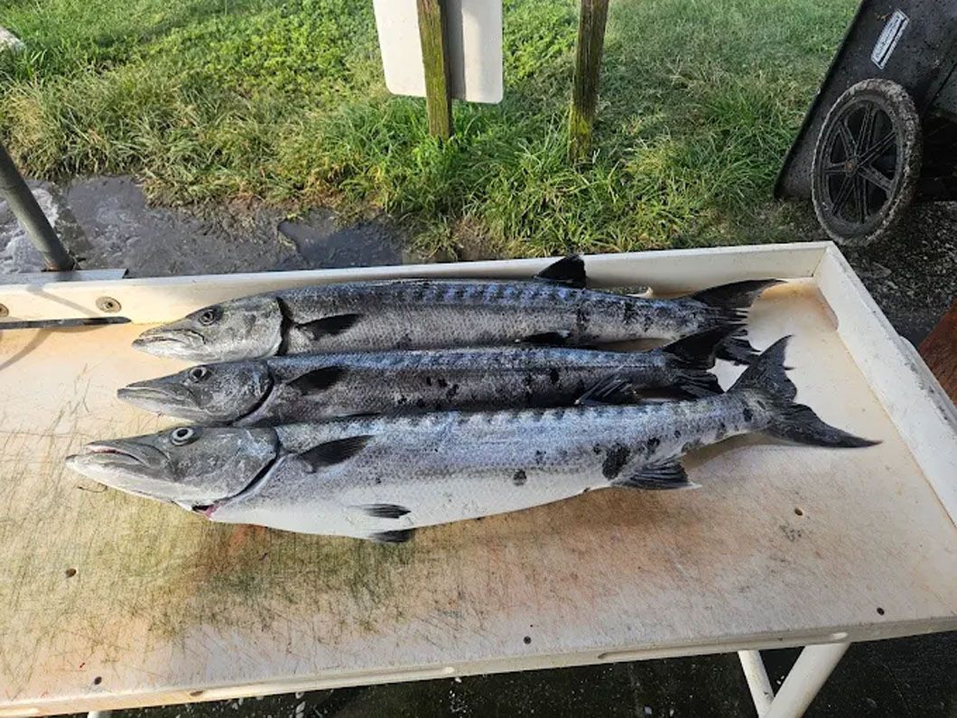 Three fish are laying on top of each other on a table.