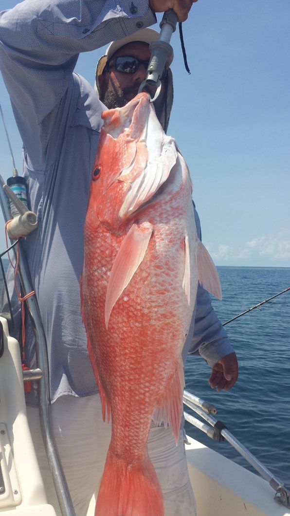 A man is holding a large red fish on a boat.