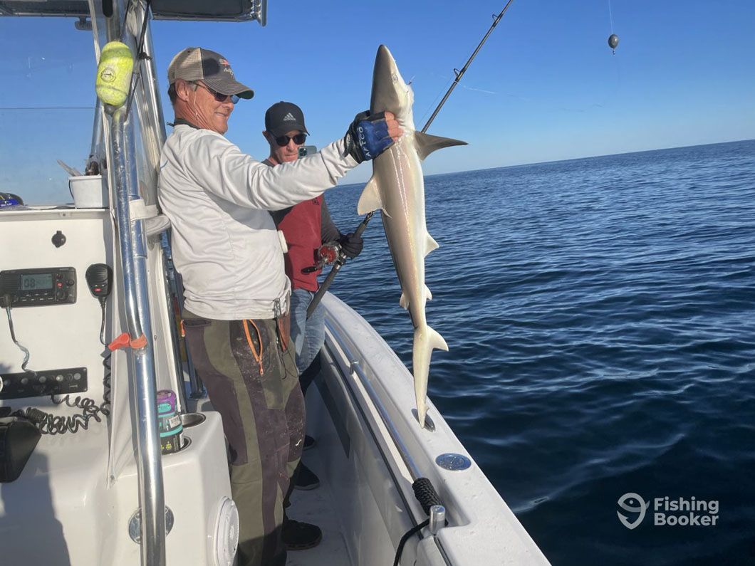 A man is holding a shark on a boat in the ocean.