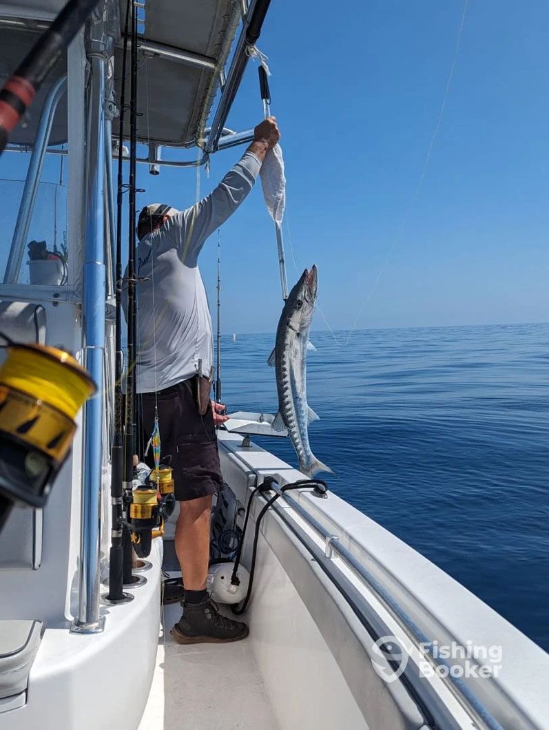 A man is holding a fish on a boat in the ocean.