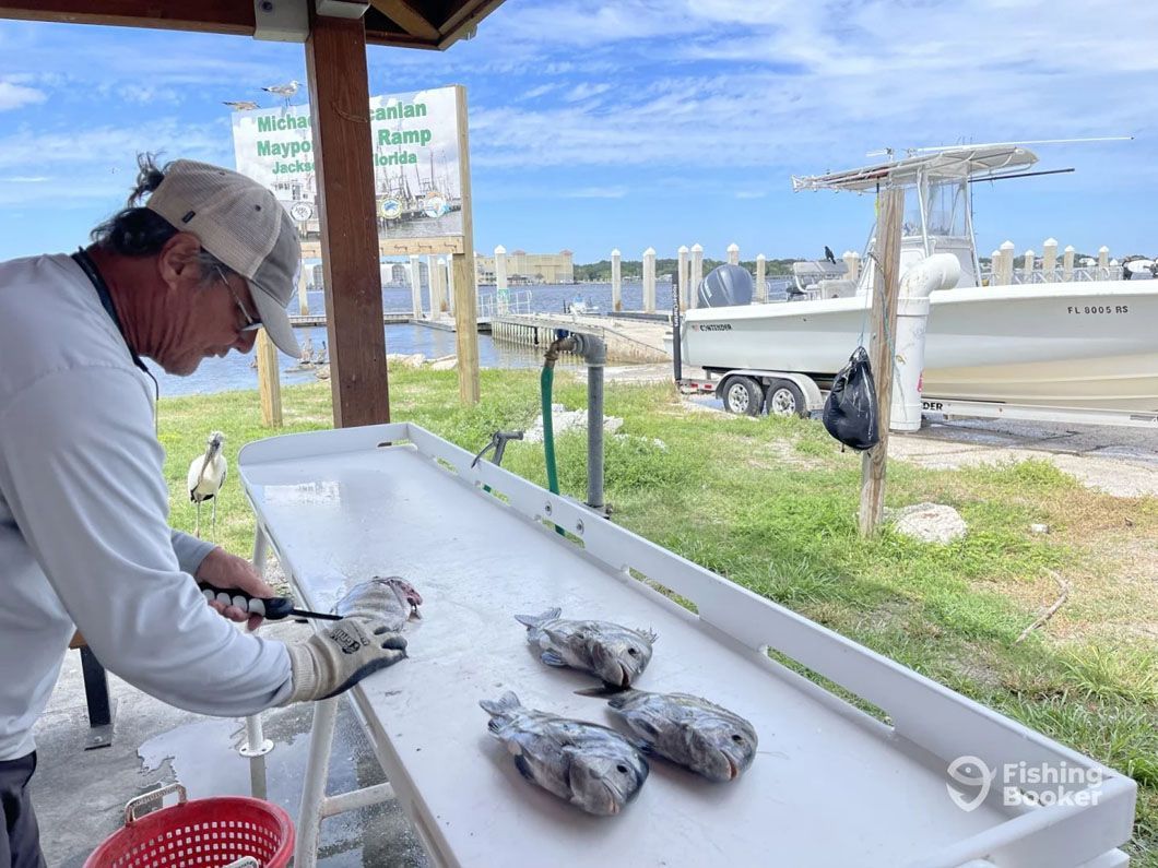 A man is cutting fish on a table with a boat in the background.