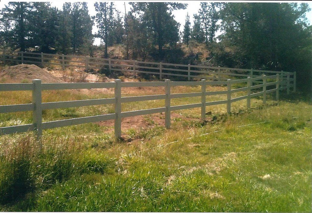White three-rail fence in a grassy field, trees in the background.