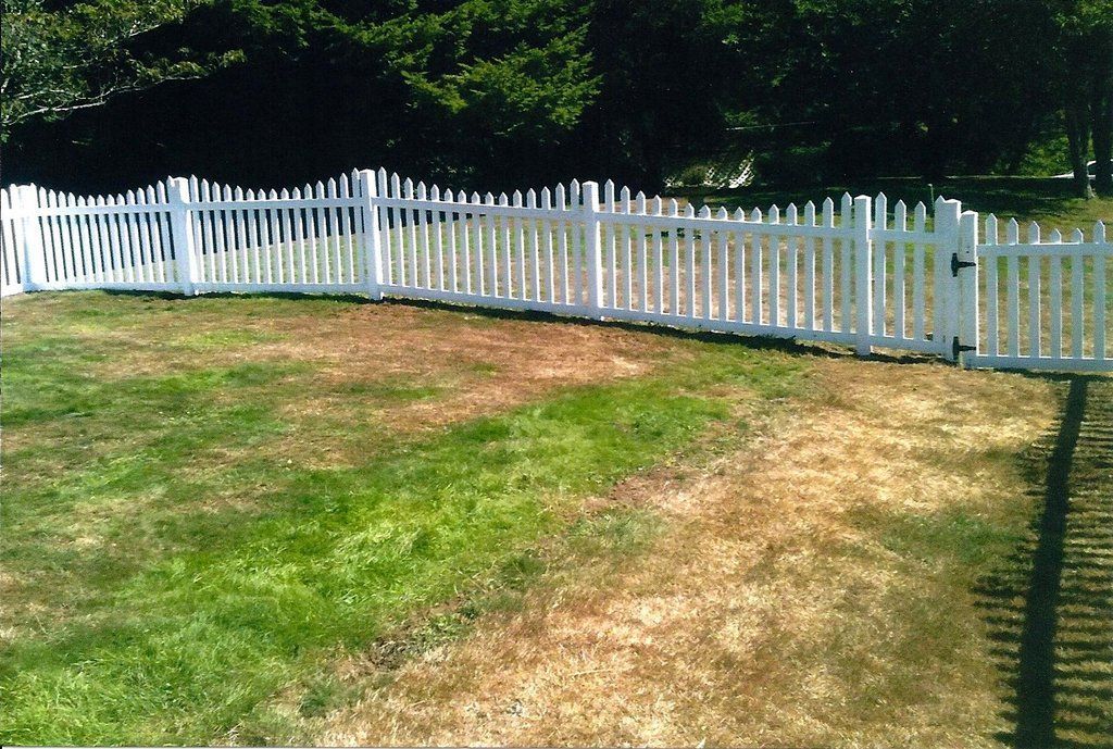 White picket fence surrounds a lawn with patches of green and brown grass; trees in the background.