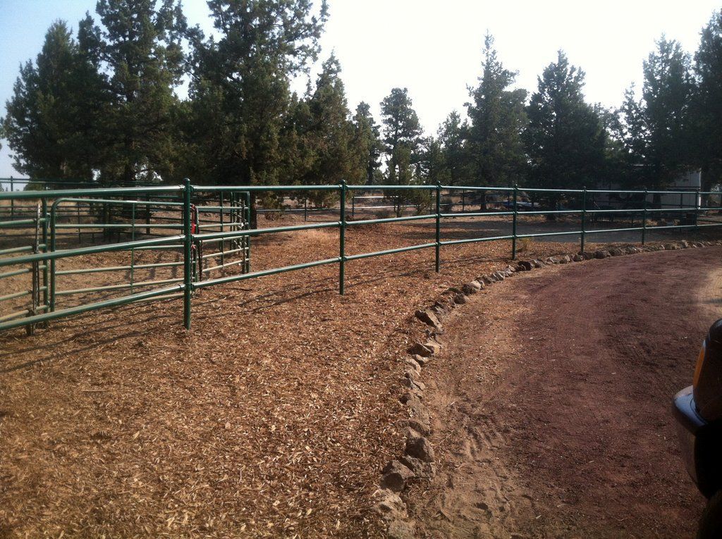 Green metal fence bordering a dirt path and dry grass field, with trees in the background.