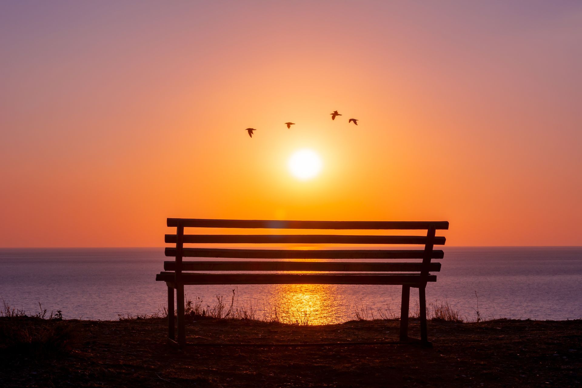 A bench sitting on top of a hill overlooking the ocean at sunset.