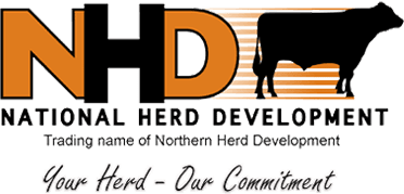Northern Herd Development Co-Op