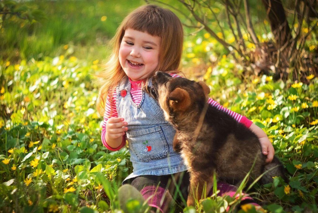 Girl laughing, petting a brown dog in a grassy field.