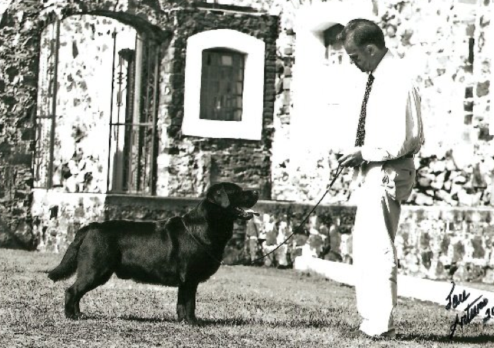 BISS AM MEX POL CAN & INT CH
HySpire Who Dat From Breckin WC