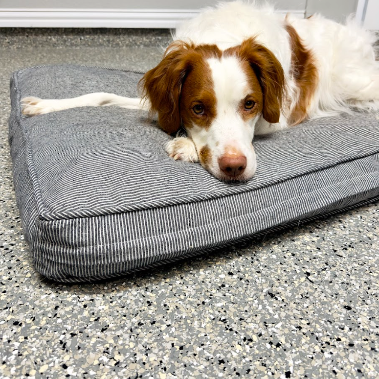 a brown and white dog is laying on a gray dog bed which is on top of new concrete coating.