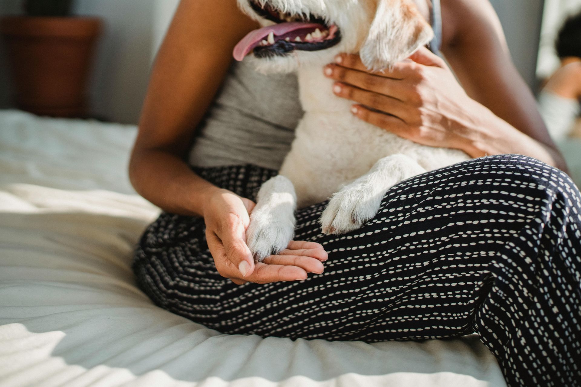 A woman is sitting on a bed holding a dog.