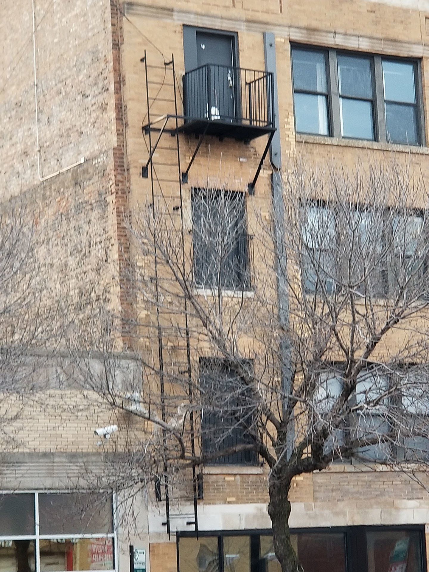 Escape Ladder — Chicago, IL — Bravura Facility Management, LLC