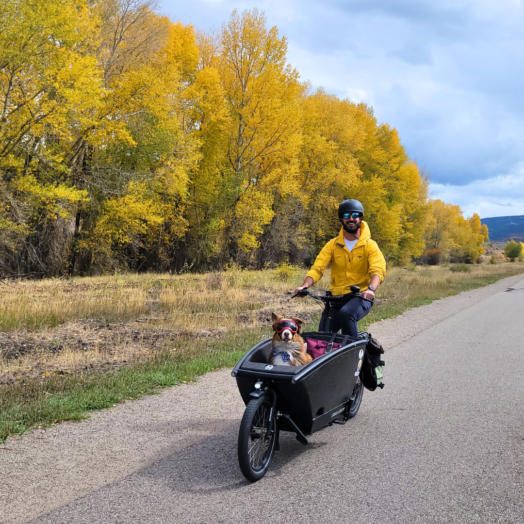 person wearing a yellow jacket riding an ebike. Dog is in front bucket.