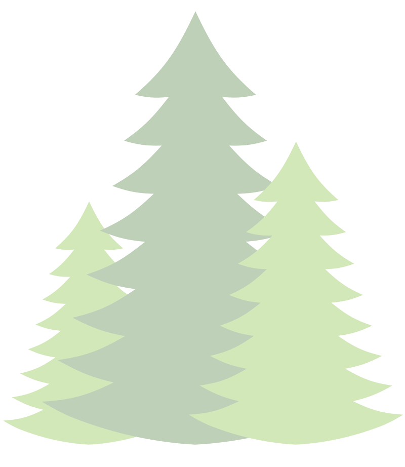 Cedarwood Management LLC letterhead