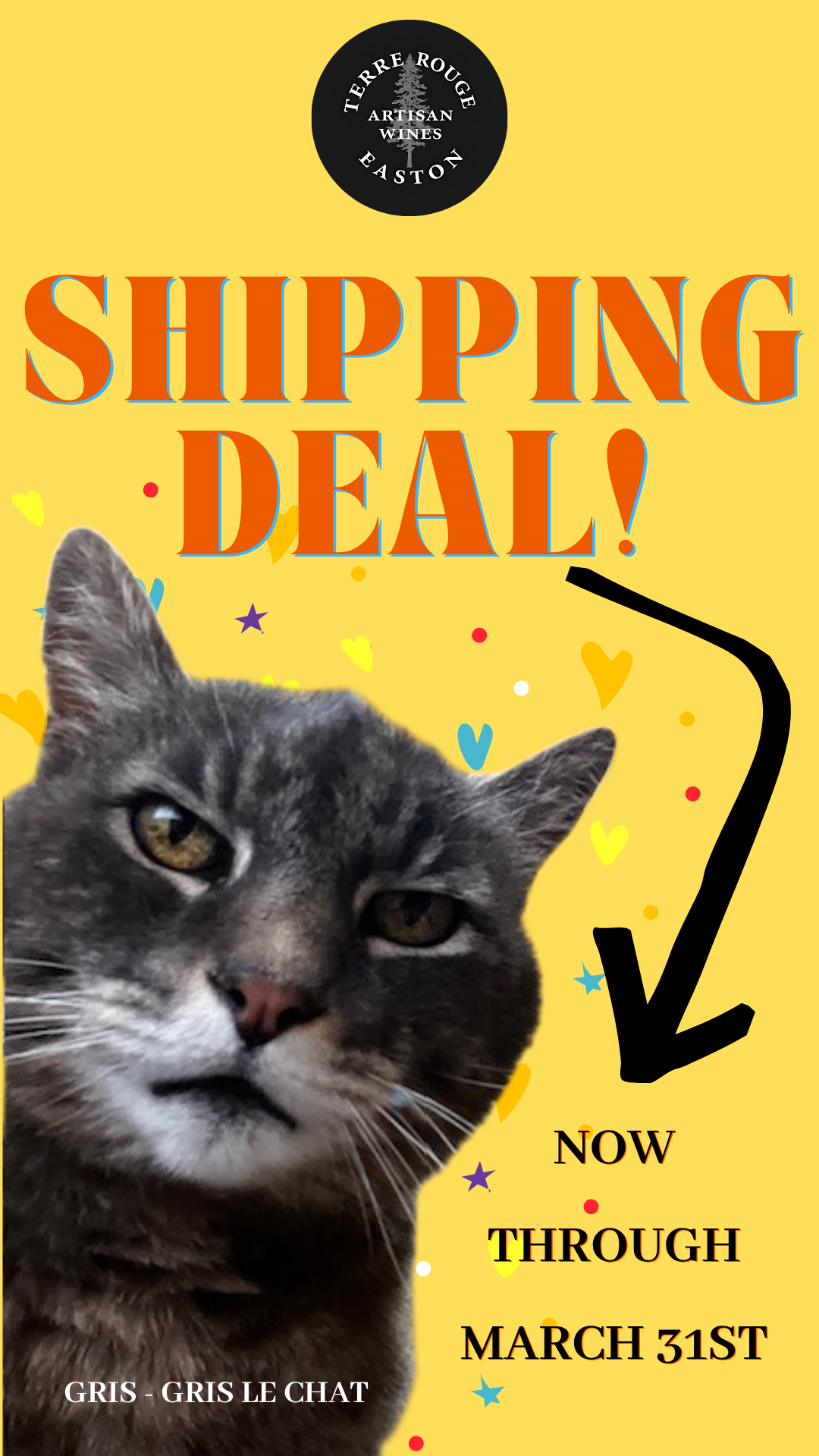 A tabby cat sits on wine boxes in a storage area, looking at the camera.