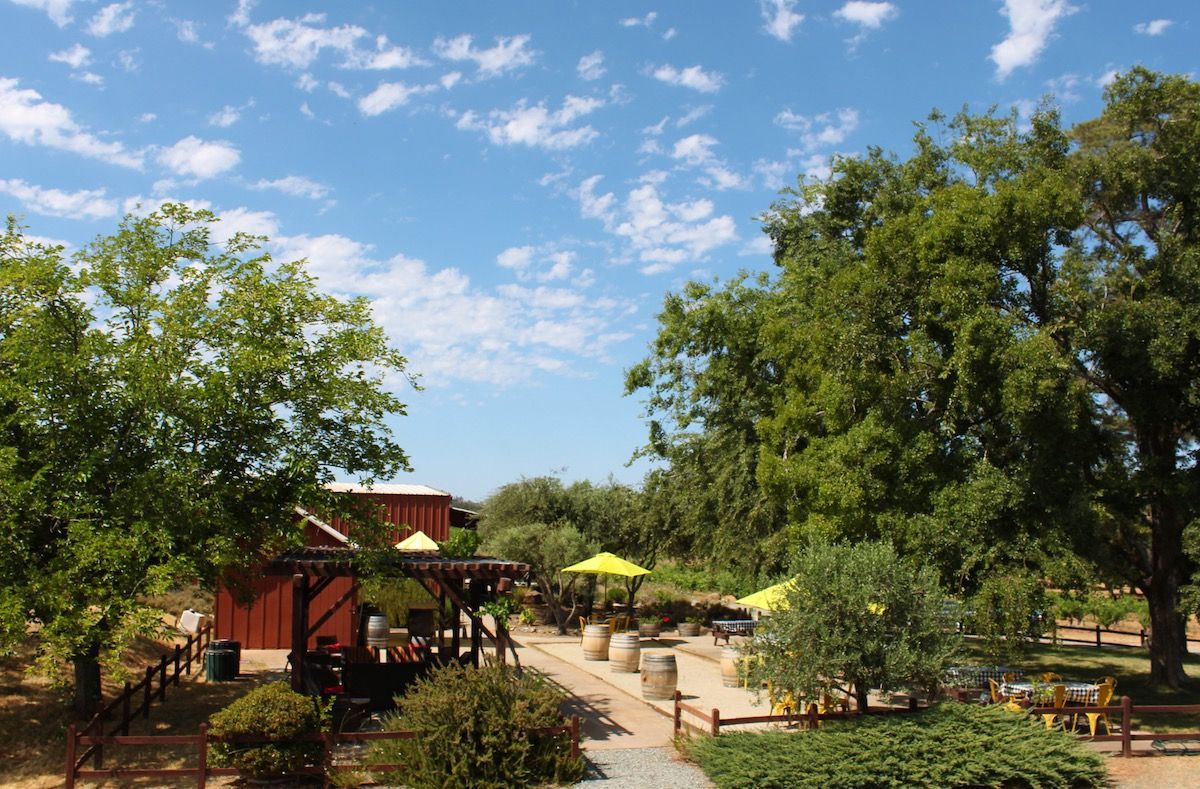 A red barn is surrounded by trees and umbrellas on a sunny day.