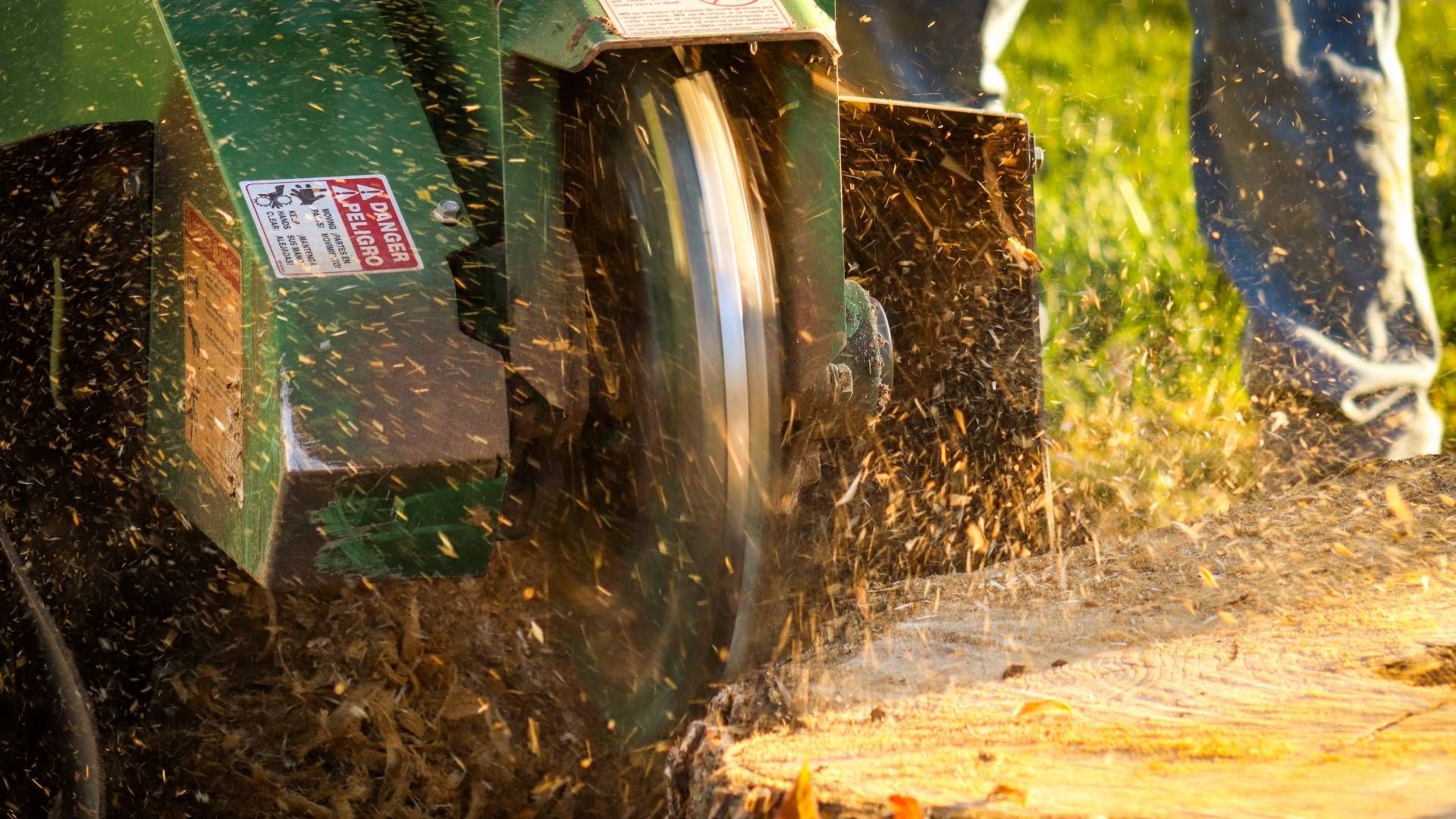 A person is cutting a tree stump with a circular saw.