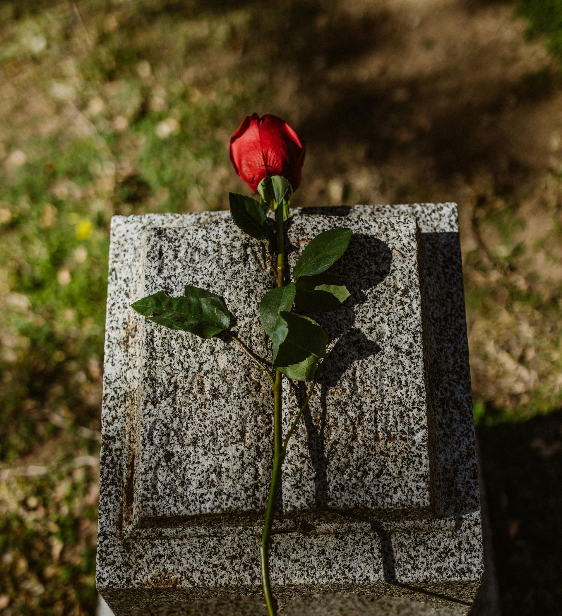 cimitero