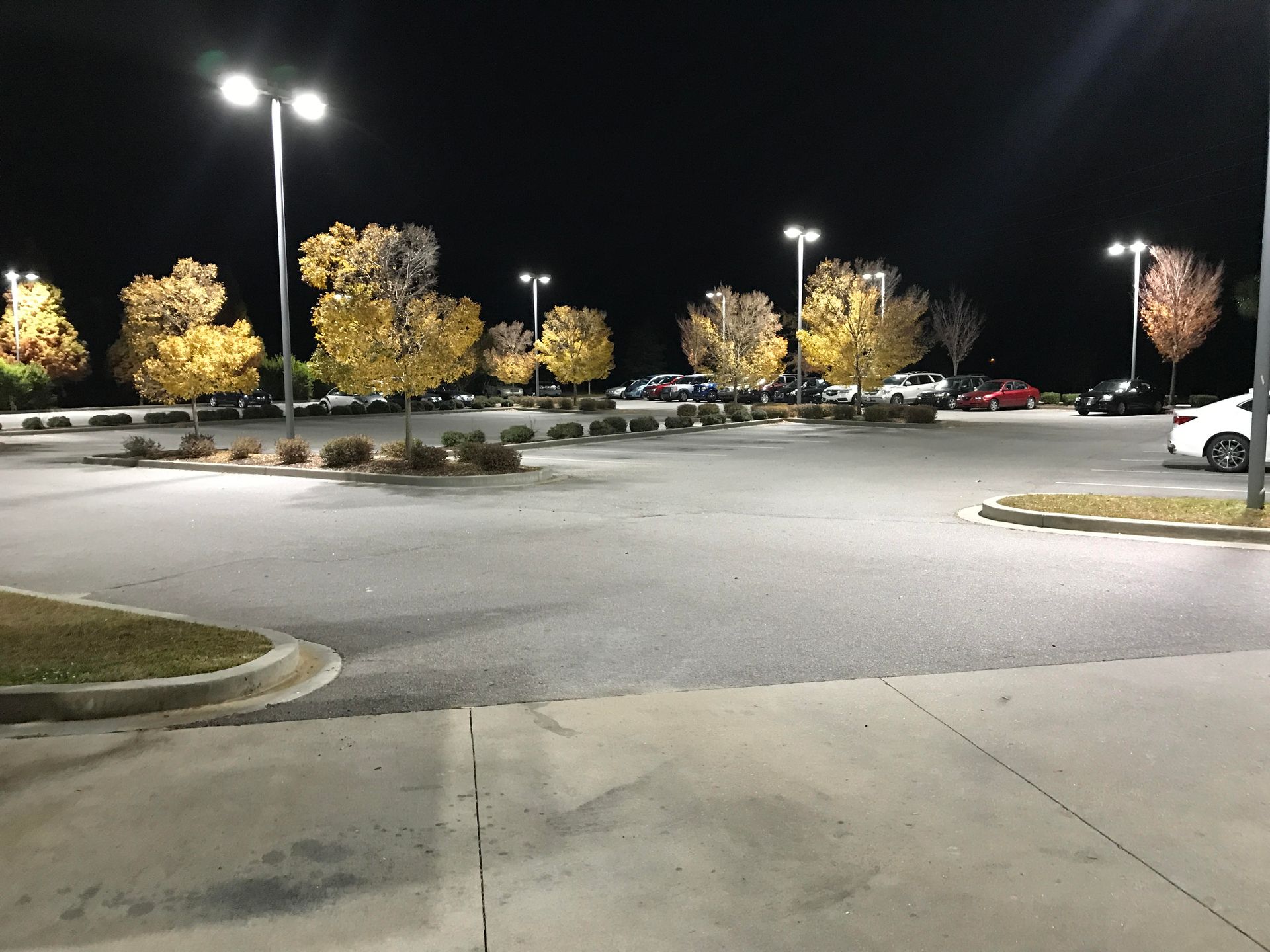 LED lighting company in SC