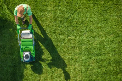 Riding mower cutting long grass along property edges
