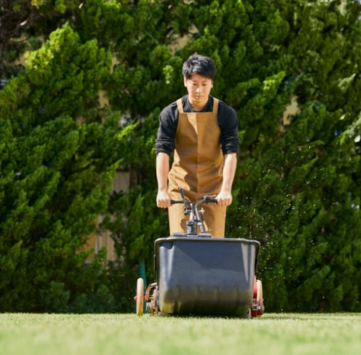 Residential lawn before and after mowing service
