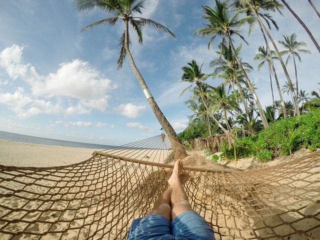 Person in a hammock on a sandy beach, palm trees overhead, blue shorts, sunny day.