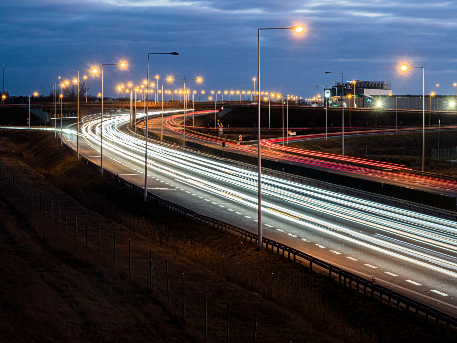 Looking up at a tree with lots of branches and leaves.