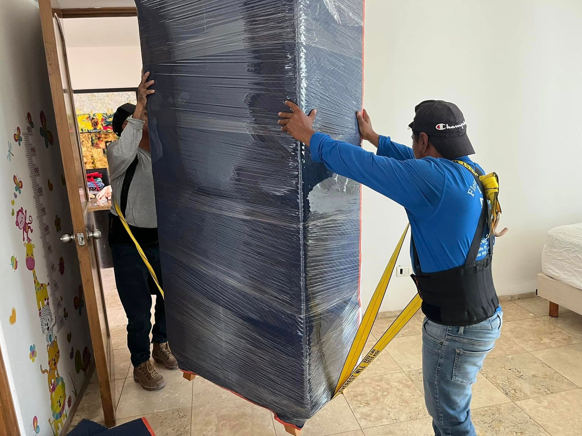 FLETES Y MUDANZAS DEL CABO