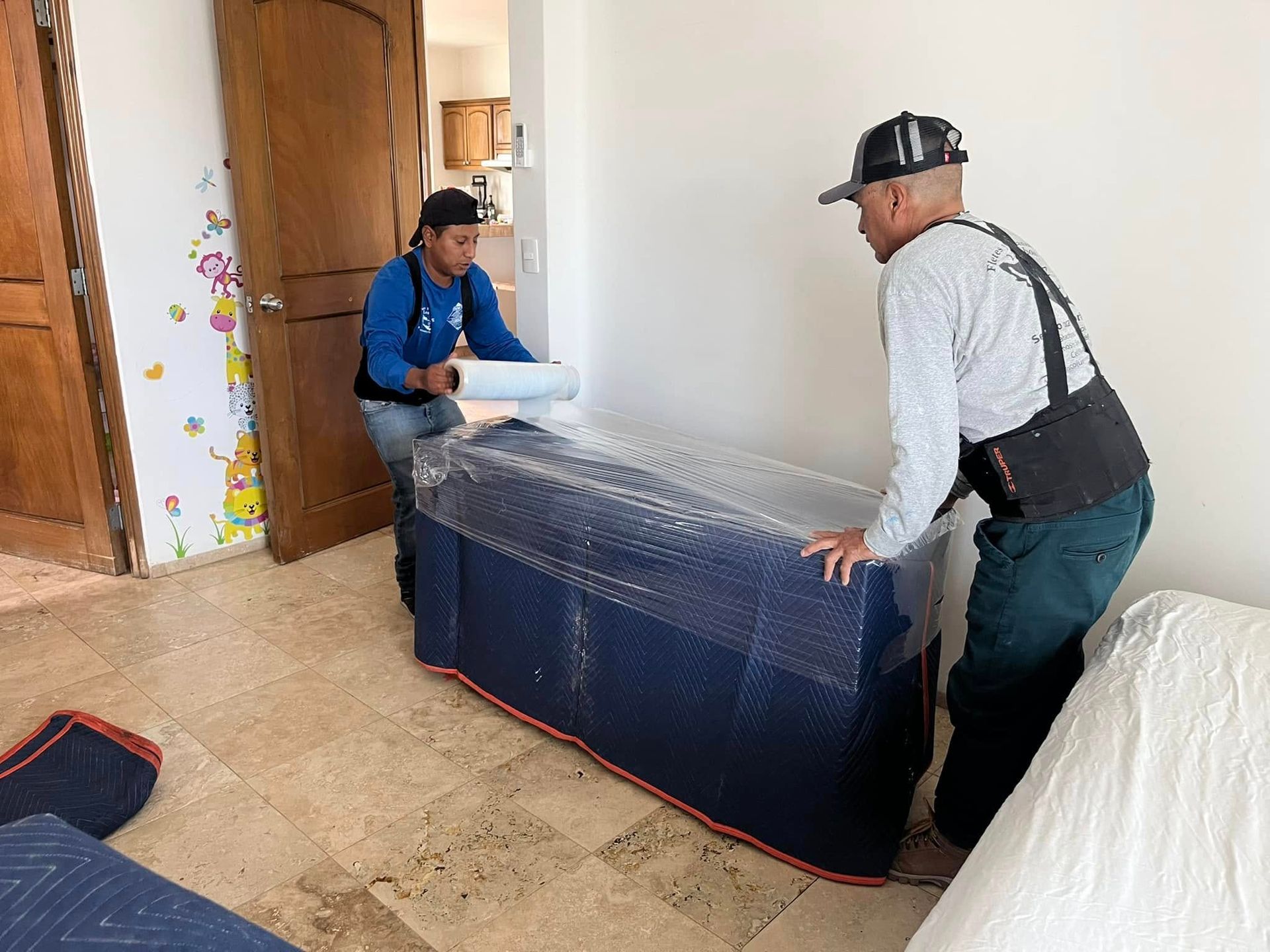 FLETES Y MUDANZAS DEL CABO