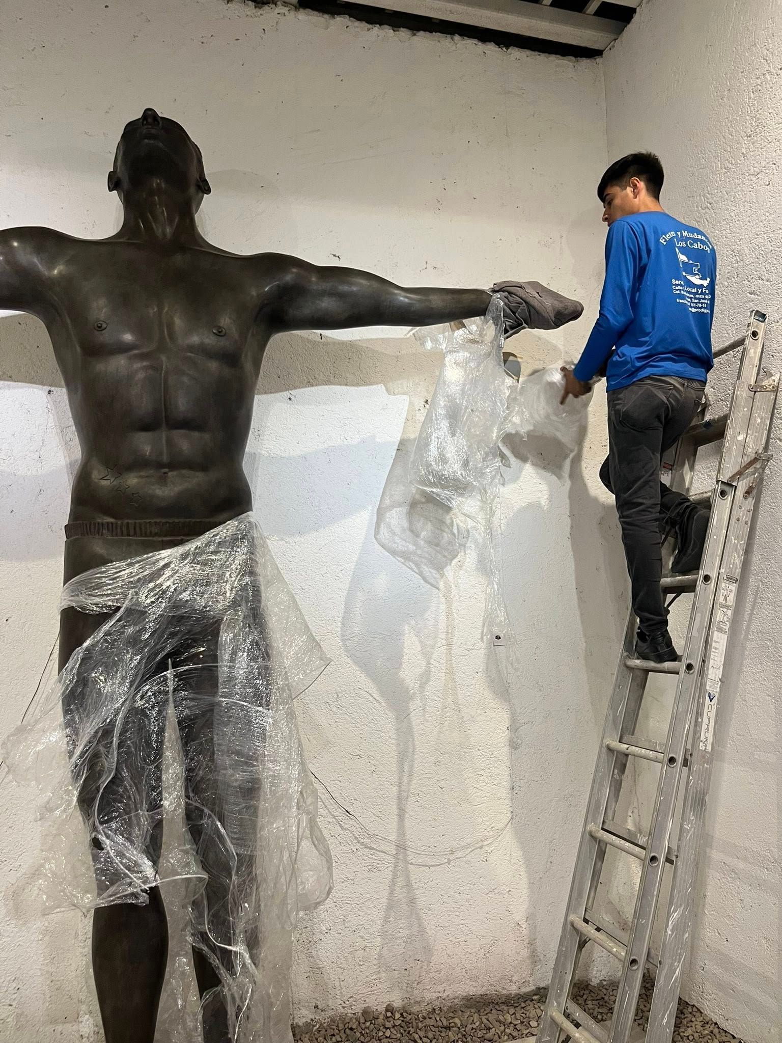 FLETES Y MUDANZAS DEL CABO