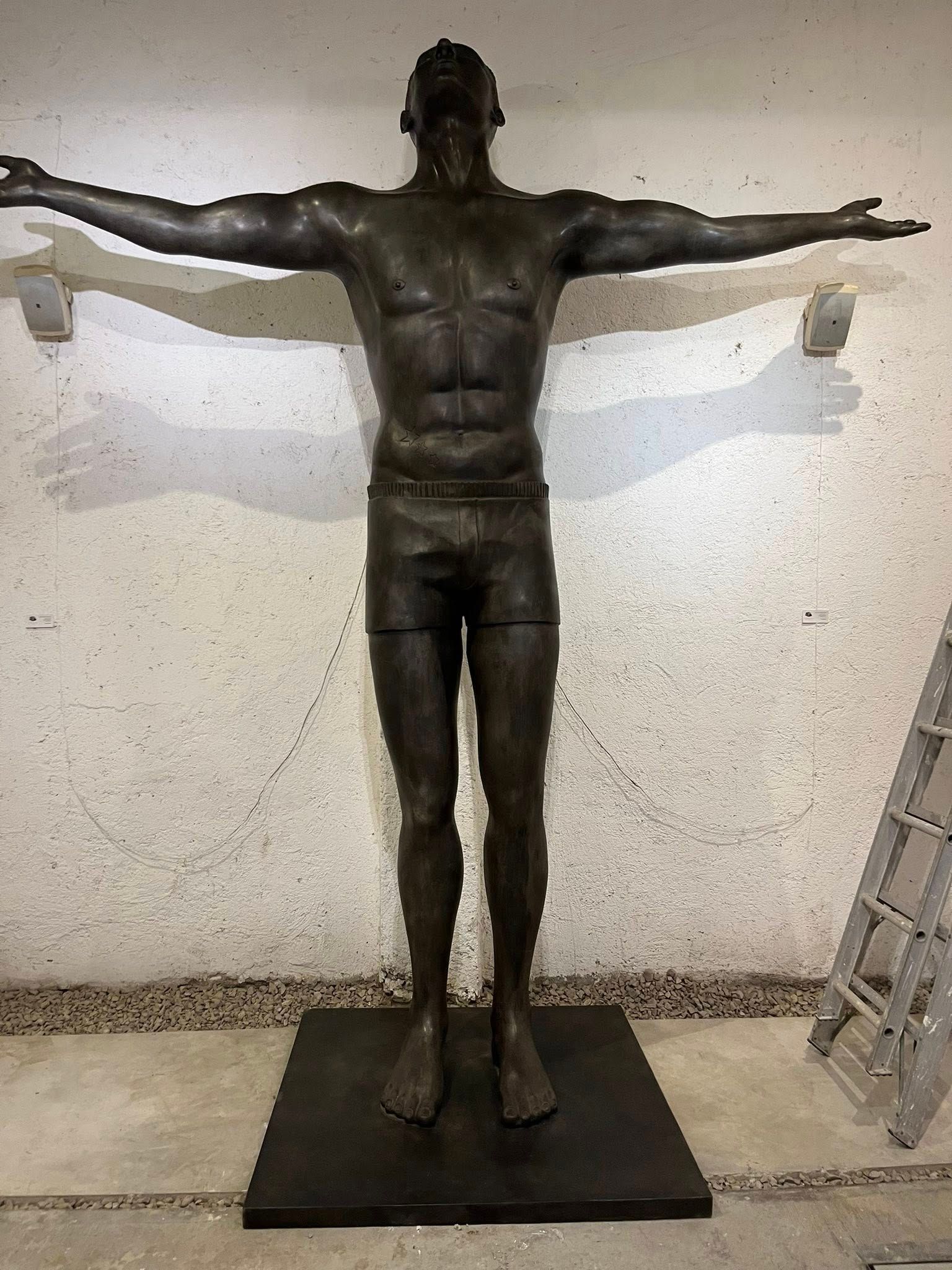 FLETES Y MUDANZAS DEL CABO