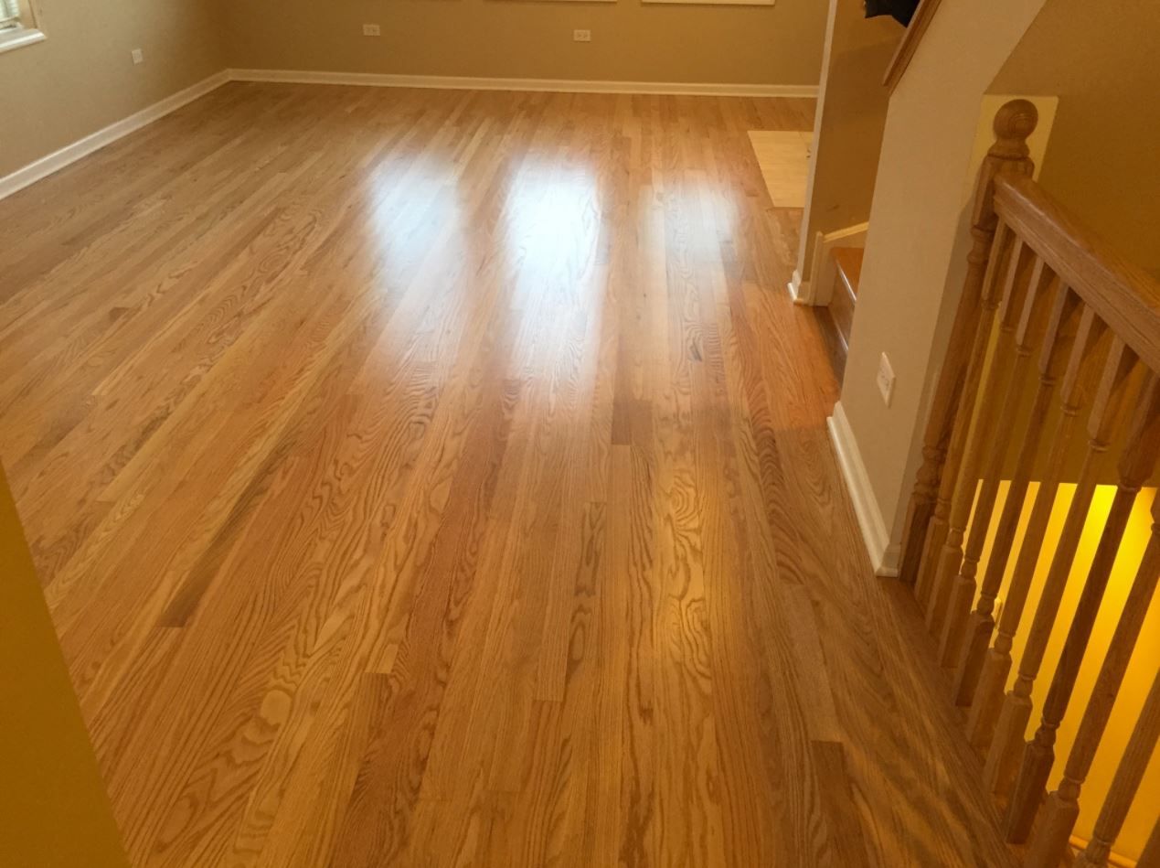 Hardwood floor, light brown with glossy finish, extending towards a staircase with a wooden railing.