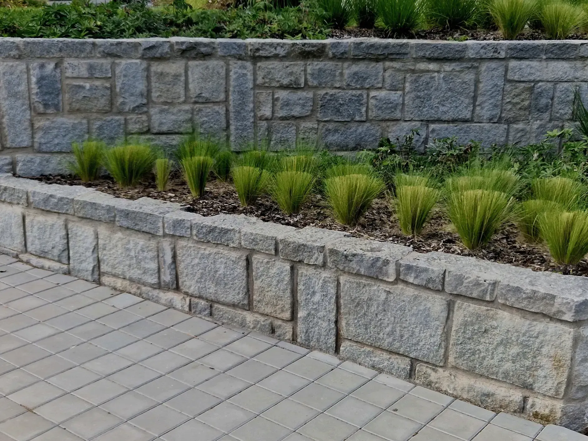Stone retaining wall with planted green grasses along a gray brick walkway.