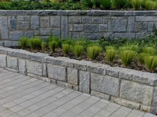 Stone retaining wall with green plants growing on top, and paved pathway in front.