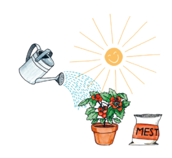 Een gieter die een bloeiende potplant water geeft, naast een zak meststof en een zonnetje.