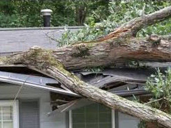 Tree Fell In The House — York, PA — Dallastown Roofing & Contracting