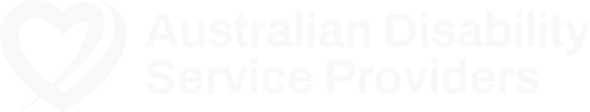 Australian Disability Service Providers