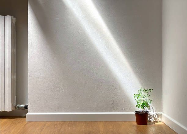 Sunlight streams across a white wall. A small potted plant sits on a wood floor near the corner.