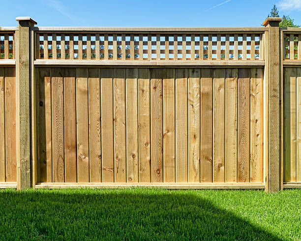 Wooden fence with lattice top against a blue sky, over green grass.