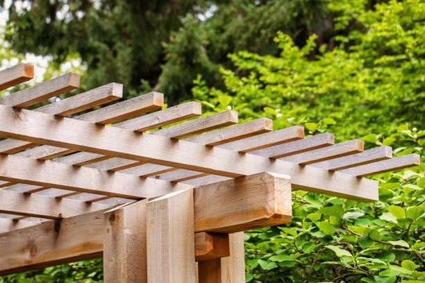 Wooden pergola with horizontal slats, set in a lush green garden.