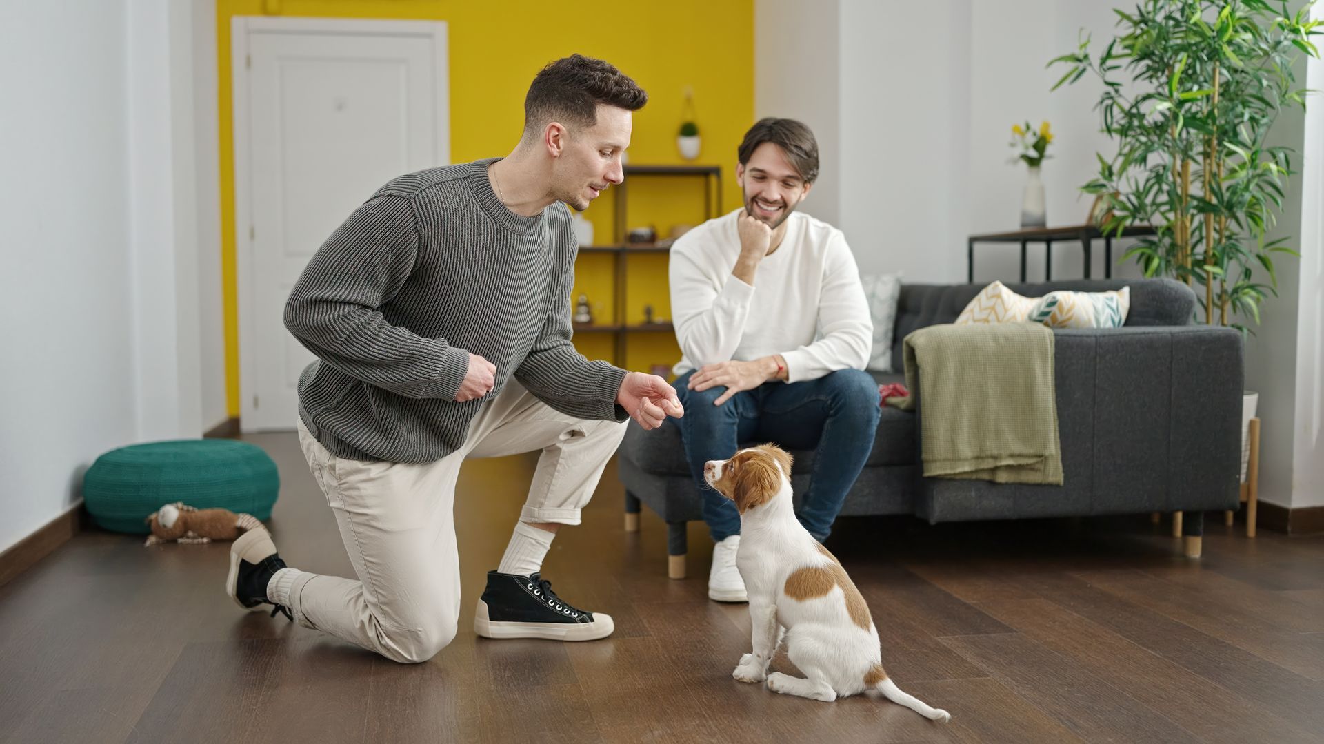 Two men are playing with a dog in a living room.