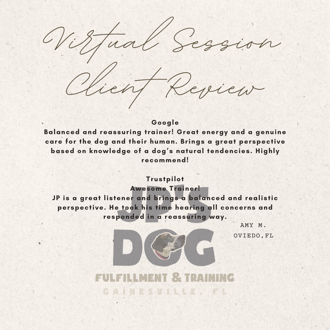 A review of a virtual session with dog fulfillment & training