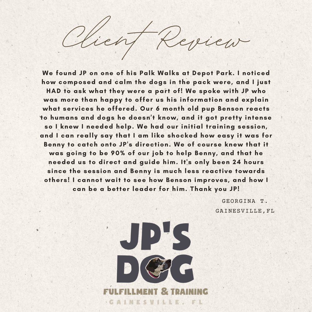 A client review for jp 's dog written by georgina t.