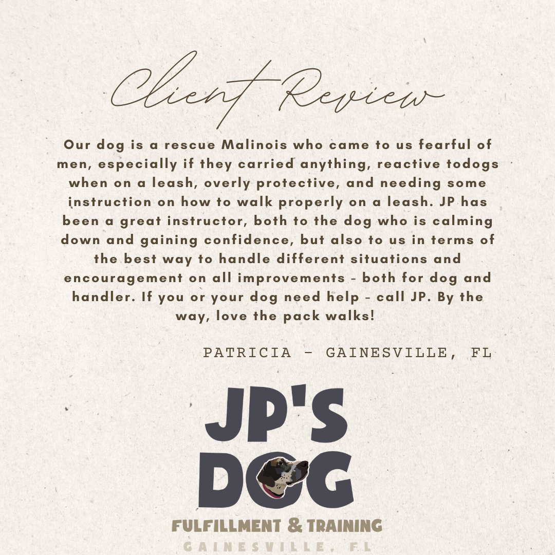 A client review for jp 's dog in gainesville florida