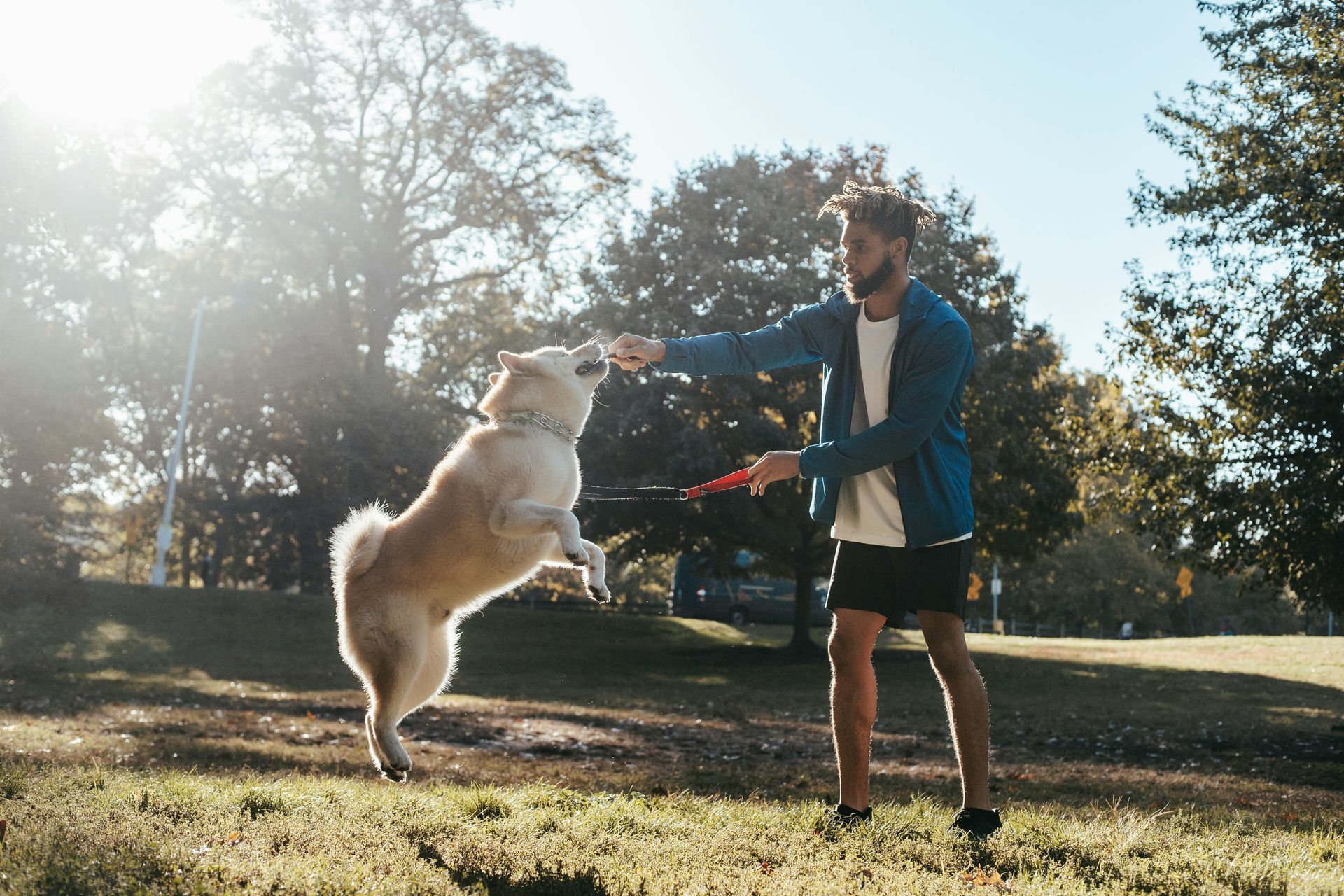 A man is playing with a dog in a park.