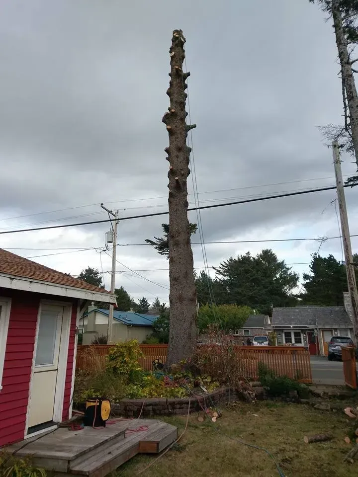 A large tree stump is sitting in front of a red house.